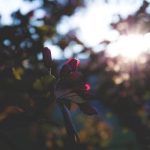 隐猫素材网站:探索丰富多样的创意设计资源与灵感 57molw46