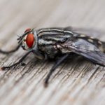 随缘居网址入口:探索心灵宁静的理想之地 f62uy