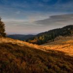 集芳阁云搜视频下载:轻松获取高清影视资源 i2yquak