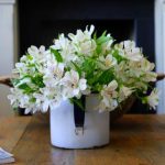 随缘居官方入口:探索心灵宁静的理想之地 swwta8